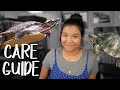 RED EARED SLIDER AND PAINTED TURTLE CARE GUIDE