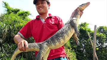 QUÁI VẬT trên sông! Con gì mà lạ vậy trời | Nhìn giống con RỒNG KOMODO quá