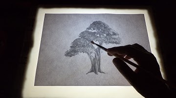 How To Make a Light Table for Drawing  / light box making/ DIY light box with cardboard