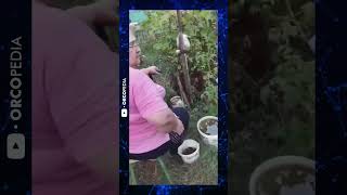 Оккупация. Война за воду. Одни не могут зад помыть, другие поливают огороды...