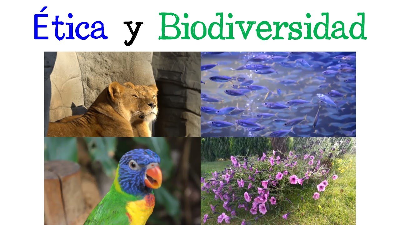 💥 Ética y Biodiversidad 🌿 [Fácil y Rápido] | BIOLOGÍA | - YouTube