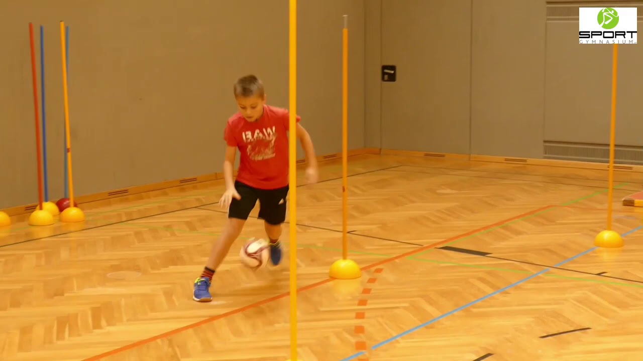 Eignungstest Sportgymnasium Nö_2017