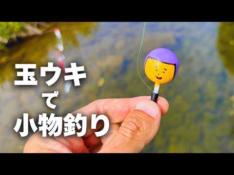 壮平ルアーの可愛い玉ウキでまったり小物釣り♪【タナゴ(小物)釣り#43 】のサムネイル