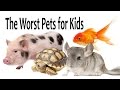 The Worst Pets for Kids