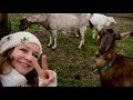 Поющий фермер Артем Семенов о взаимодействии со своими козами, любви и  ревности, ферме как бизнесе.