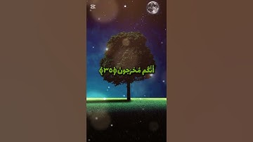 سورة المؤمنون(آية ٣٤ _إلي_ ٤٠)______*صوت»الشيخ»ياسر الدوسري.*#قرآن#اكسبلور#راحة_نفسية