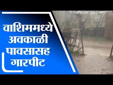 Washim | वाशिममध्ये अवकाळी पावसासह गारपीट, गारपिटीमुळे तूर पिकांचे नुकसान - tv9