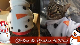 Cómo hacer un chaleco de hombre de nieve para gatos | snowman vest for cat