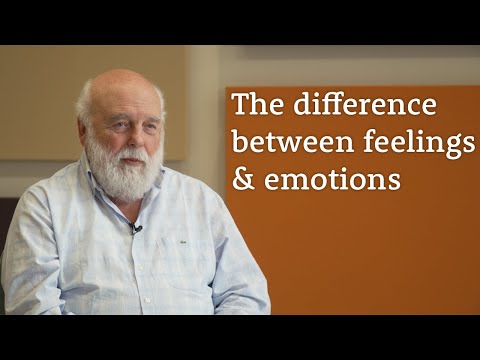 What Is The Difference Between Feelings And Emotions