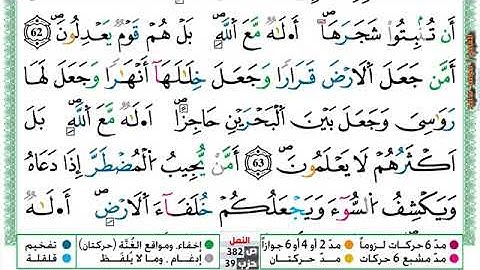 (مكررة) حفظ سورة النمل (13) للقارئ الشيخ محمد سايد