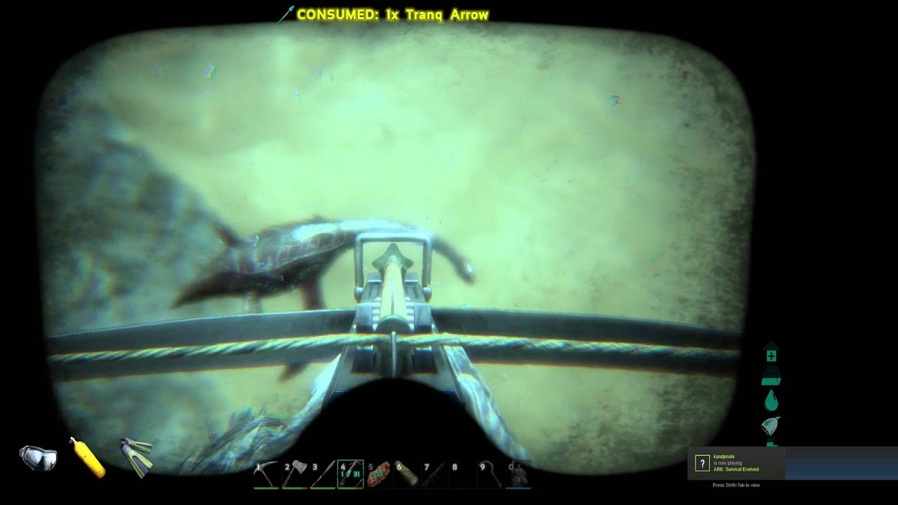 taming a plesio with demostorm