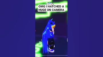I HATCHED A HUGE HACKED CAT ON CAMERA OMG