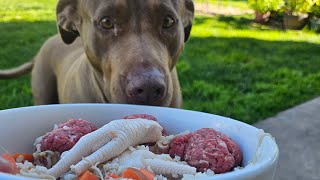 Dog Eats Raw Ground Beef N' Chicken Feet Over Rice Mixed W/ Carrots & Mushrooms #Dog #MUKBANG