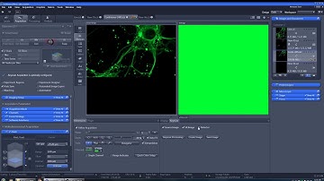 BioImaging - Airyscan