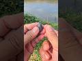 Best Beginner Fishing Knot for Sinkers👍👍 #fishing #tutorial #fishingtips #anglerlife