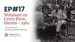 17 Alexander Wetmore en Panamá: 1961 -  Cerro Pirre