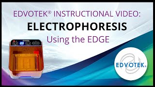 Edvotek Instructional Video: Performing Electrophoresis using the EDGE
