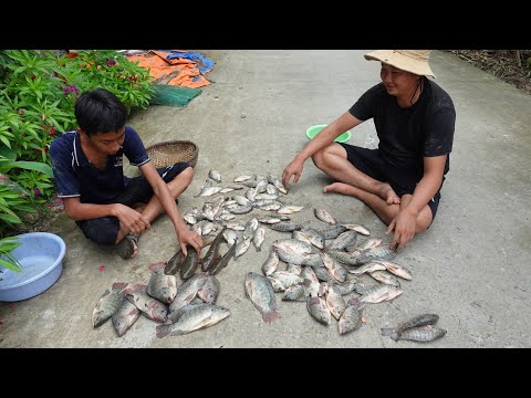 Video Lưới cá một trận 11 ký cá. Về chòi làm nồi CHÁO CÁ ấm... - youtube