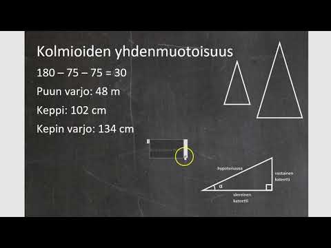 Video: Kuinka Löytää Kolmion Elämän Koko