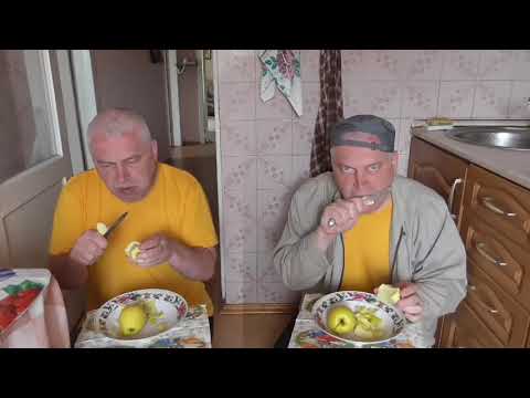 генка и гешка спиздили яблоки у оптимусов