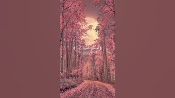 ياأيها الذين ءامنوا كتب عليكم الصيام(تلاوة من سورة البقرة )🌸قرآن كريم 🌸القارئ عمير شميم