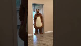 Tanya Came To Feed The Funny Dogs, Dora Pomidora