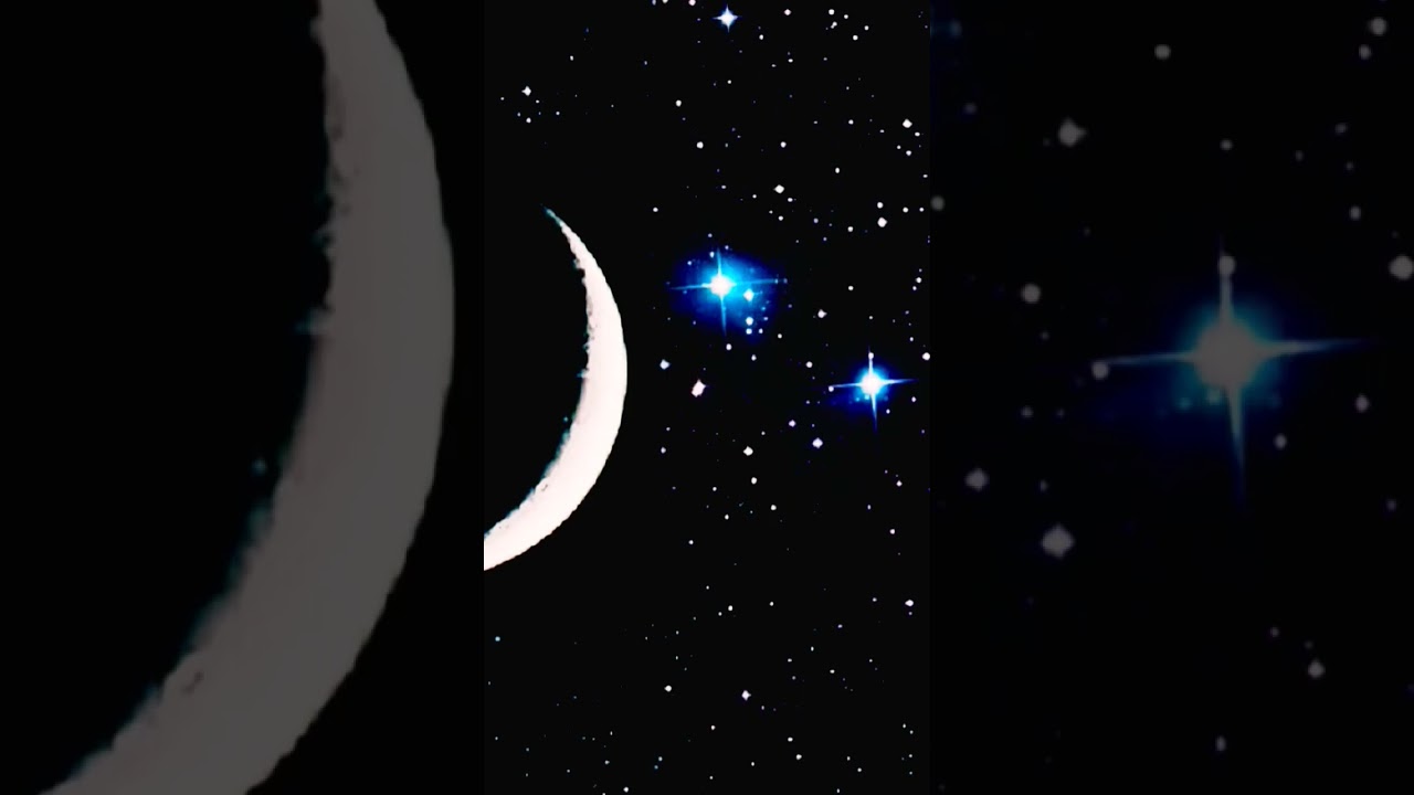 ANEL"TOO POPLARS"🌿🌿/"ДВІ ТОПОЛІ"