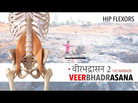 Virabhadrasana 2 | Warrior 2 | Hip Flexors | Muscle Group | Text Reading