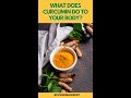 What Does Curcumin Do To Your Body