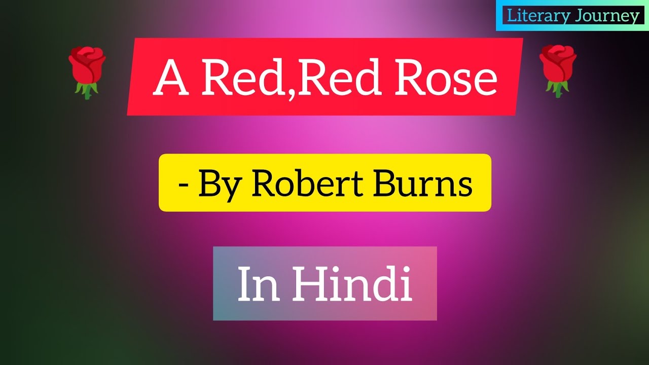 A Red Red Rose | By Robert Burns | Summary In Hindi