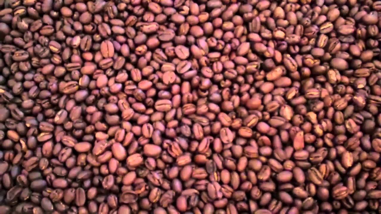 Tanzania Peaberry Fresh Roasted Coffee Bean Description YouTube