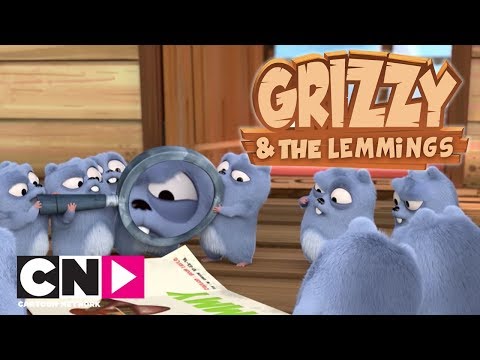 Lezzet Kutusu | Grizzy ve Lemmingler | Boomerang Kuşağı