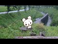 名も無きクマの放送2026/05/22