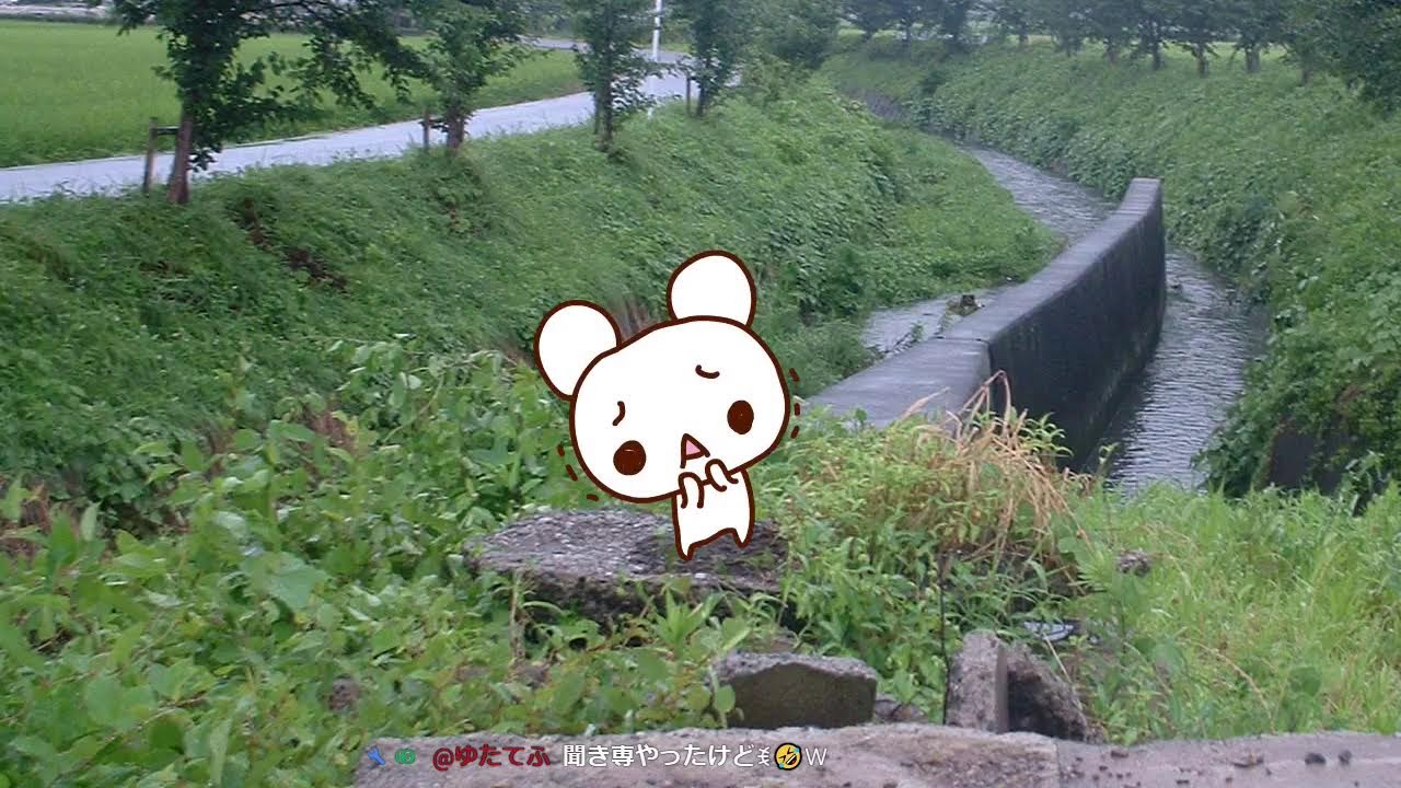 名も無きクマの放送2026/05/22