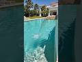 From Empty Land to Luxury Pool 🏊 | AI Construction Transformation Timelapse