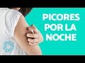 PICORES por la NOCHE - CAUSAS de sentir PICAZÓN en la PIEL por la NOCHE
