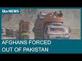 Thousands of Afghan refugees forced out of Pakistan in immigration crackdown| ITV News