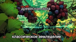 #1 Классическое земледелие. Древесная зола.