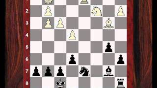 Chess Strategy : Evolution of Chess Style #82 - Alexander Alekhine vs Efim Bogoljubov - Game 16