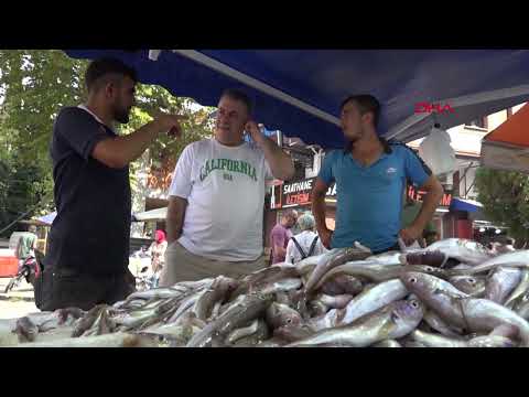 Samsun'da tezgahlar balıkla doldu