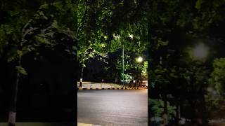 Yeh Shaam Mastani #incredibleindia #travel #naturevideo #nature #travelreels #explorepage