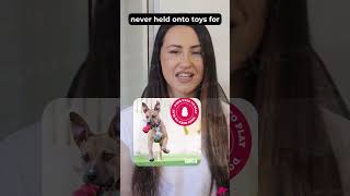 KONG Extreme Dog Toy: Best Dog Chew Toys #chewtoys #dogtoys  #bestseller
