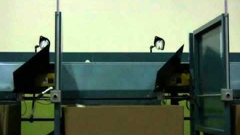 Sortation Systems: Air Assisted Sortation