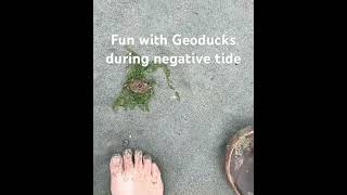 Canada-Exploring The Salish Sea-Cowichan Bay.