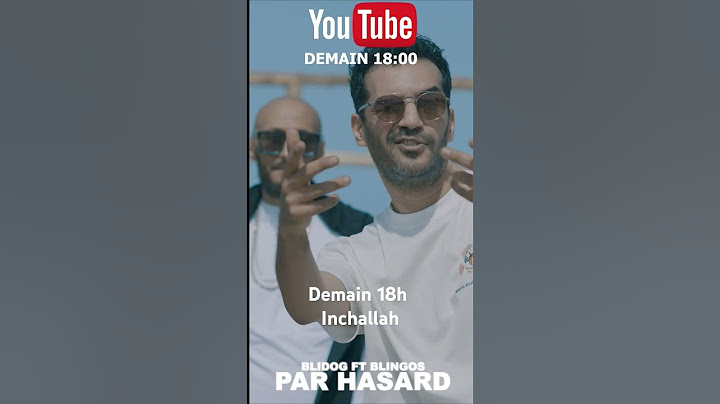 blidog ft blingos _par hasard