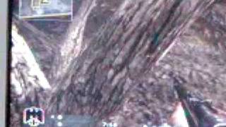 CoD5 Tree Glitch
