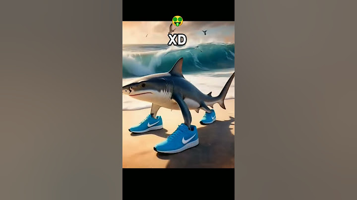 tiburón con zapatos XD 🤑