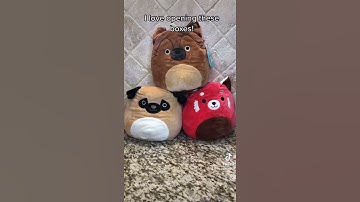Amazon Squishmallow Mystery Box Opening
