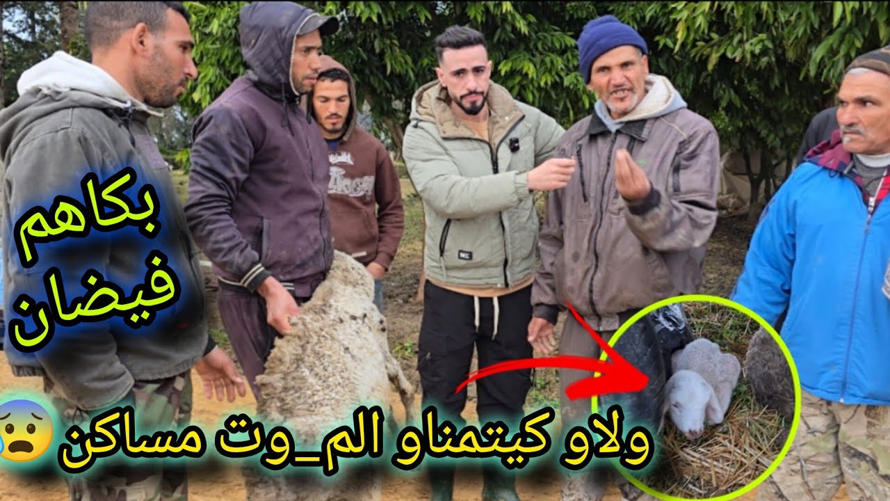 وثائقي للمتضررين من فيضانات الغرب اليوم بالمغرب أحداث لم تراها من قبل ناس كتنعس فوق تبن وكتغطا بميكة