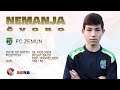 Nemanja cvoro highlights 2017